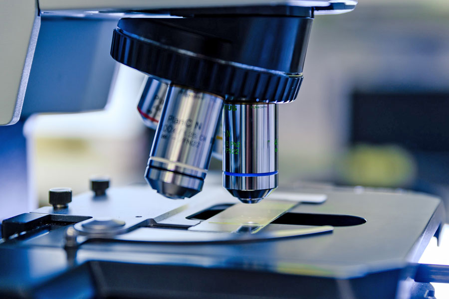 Club de Ciencia Boadilla: primeras charlas del año Club de Ciencia Boadilla: primeras charlas del año