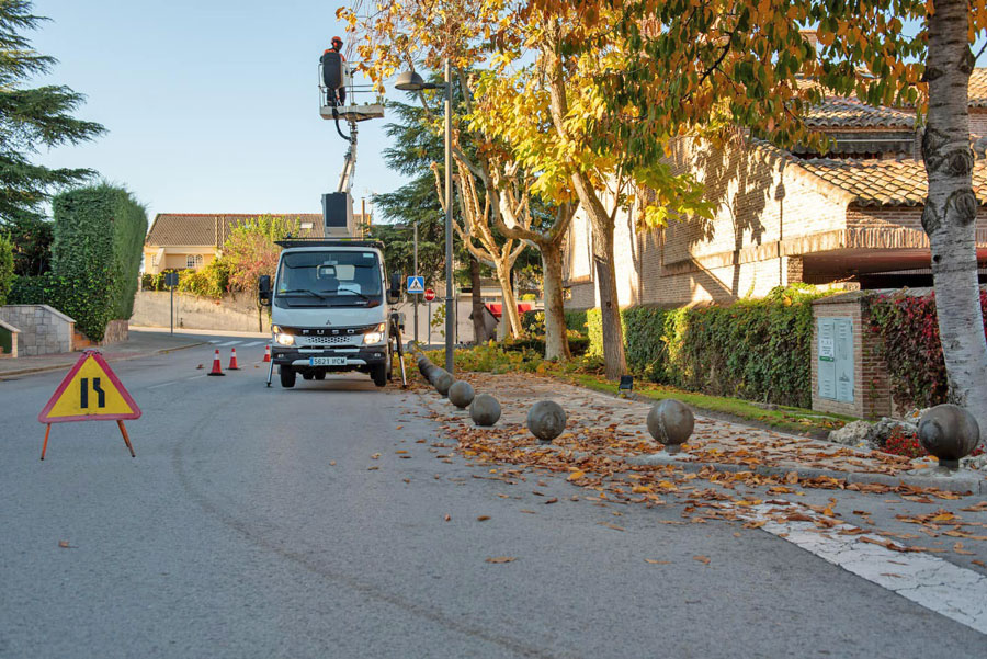 Comienza el plan anual de poda en 5.200 árboles de Boadilla del Monte