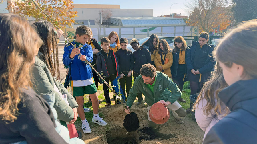 El Colegio Quercus se une al European Tree Planting Day