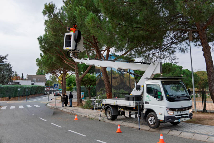 Campaña anual de poda en Boadilla del Monte Campaña anual de poda en Boadilla del Monte