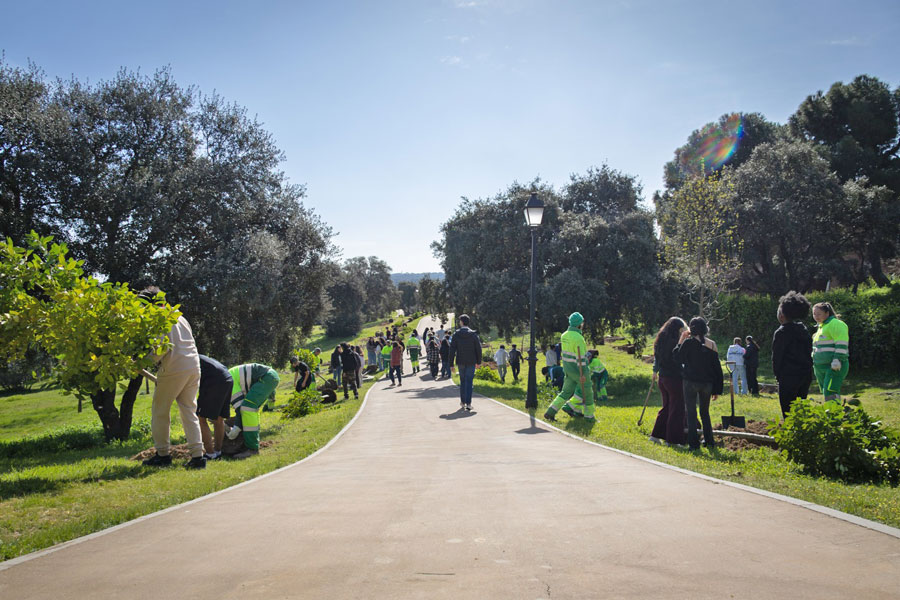 100 nuevos árboles en la senda que une el Parque del Pilar y la Casa de Aves, en Boadilla del Monte 100 nuevos árboles en la senda que une el Parque del Pilar y la Casa de Aves, en Boadilla del Monte