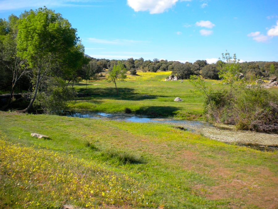 El 21 de febrero, doble ruta en Fresnedillas de la Oliva El 21 de febrero, doble ruta en Fresnedillas de la Oliva
