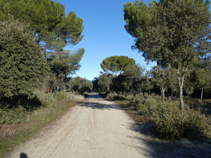 La Guerra Civil: restos conservados en Boadilla del Monte La Guerra Civil: restos conservados
