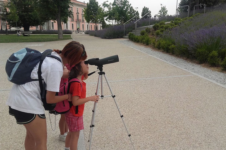 Detectives de la naturaleza