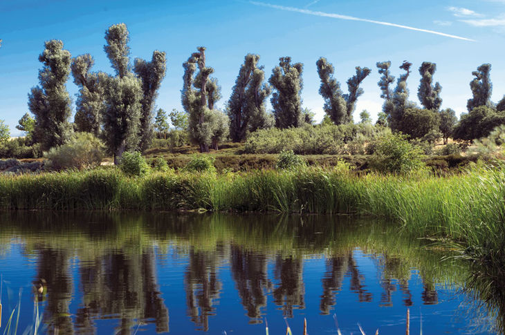 El Bosque Santander: un ecosistema único