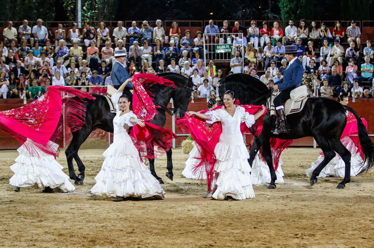 Arte y pasión… Sueños a caballo: la fusión de danza y doma