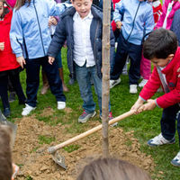 Los alumnos del Teresa Berganza han plantado un árbol en el parque junto al centro.