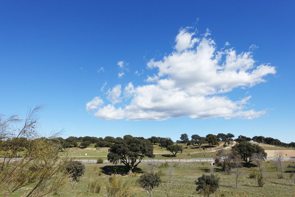 Programa de otoño del Aula Medioambiental de Boadilla del Monte 