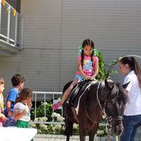 Verbena solidaria de Highlands School Los Fresnos.