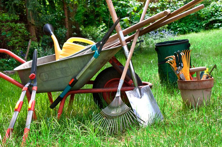 Maquina a punto para cuidar el jardín.